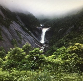 世界遺産の屋久島 へ