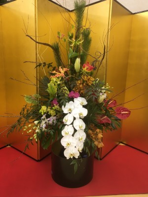 2017年 迎春